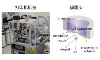 理光集团携高科技产品进军医药市场，以创新技术驱动医疗行业变革